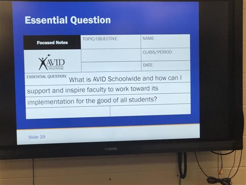 avid avid