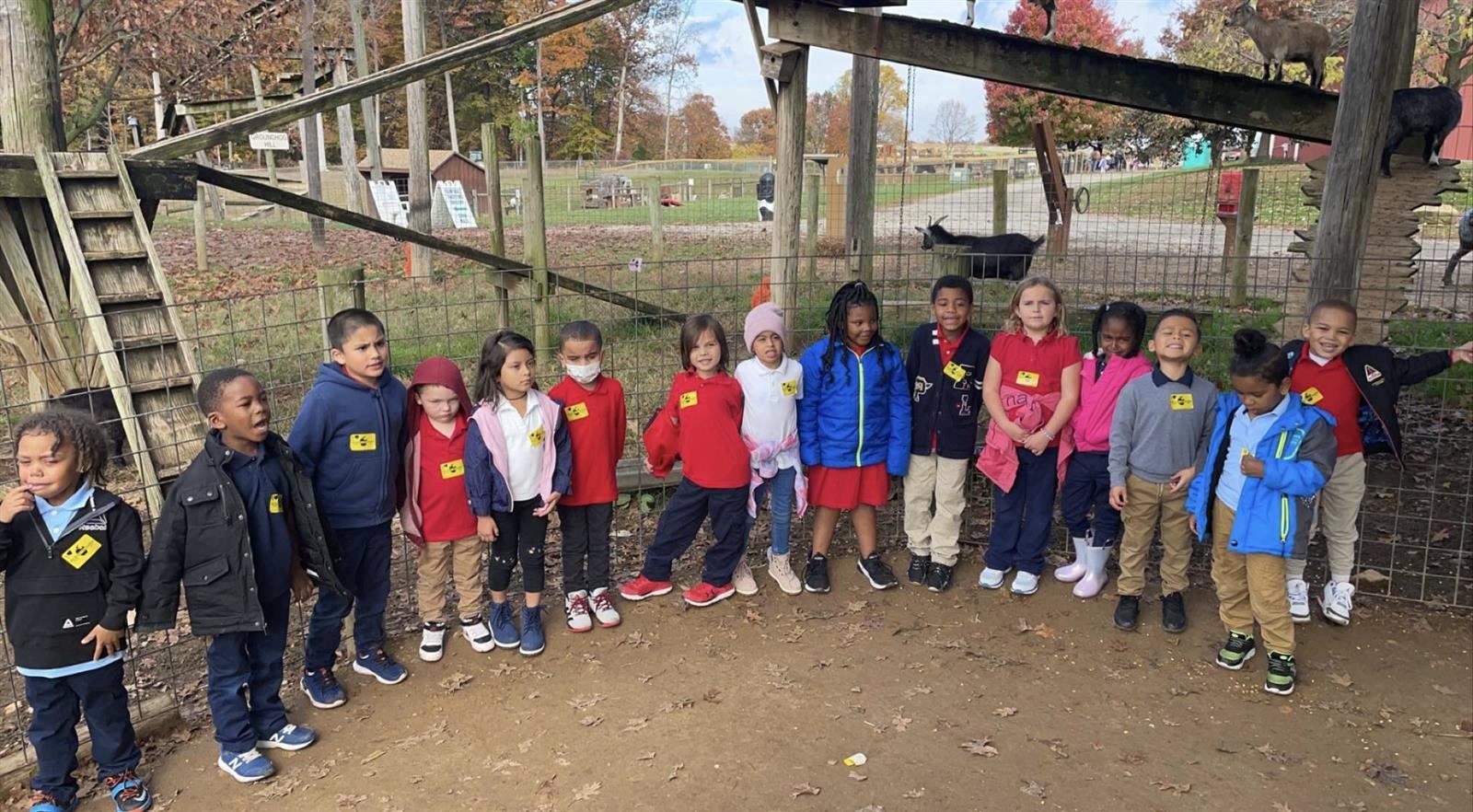  Kindergarten 