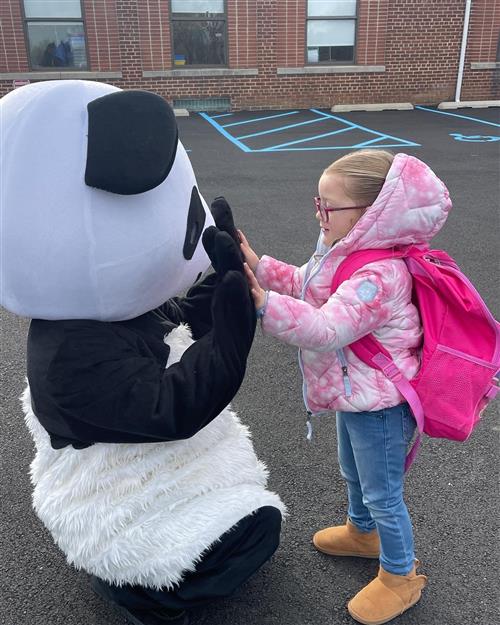 Panda day