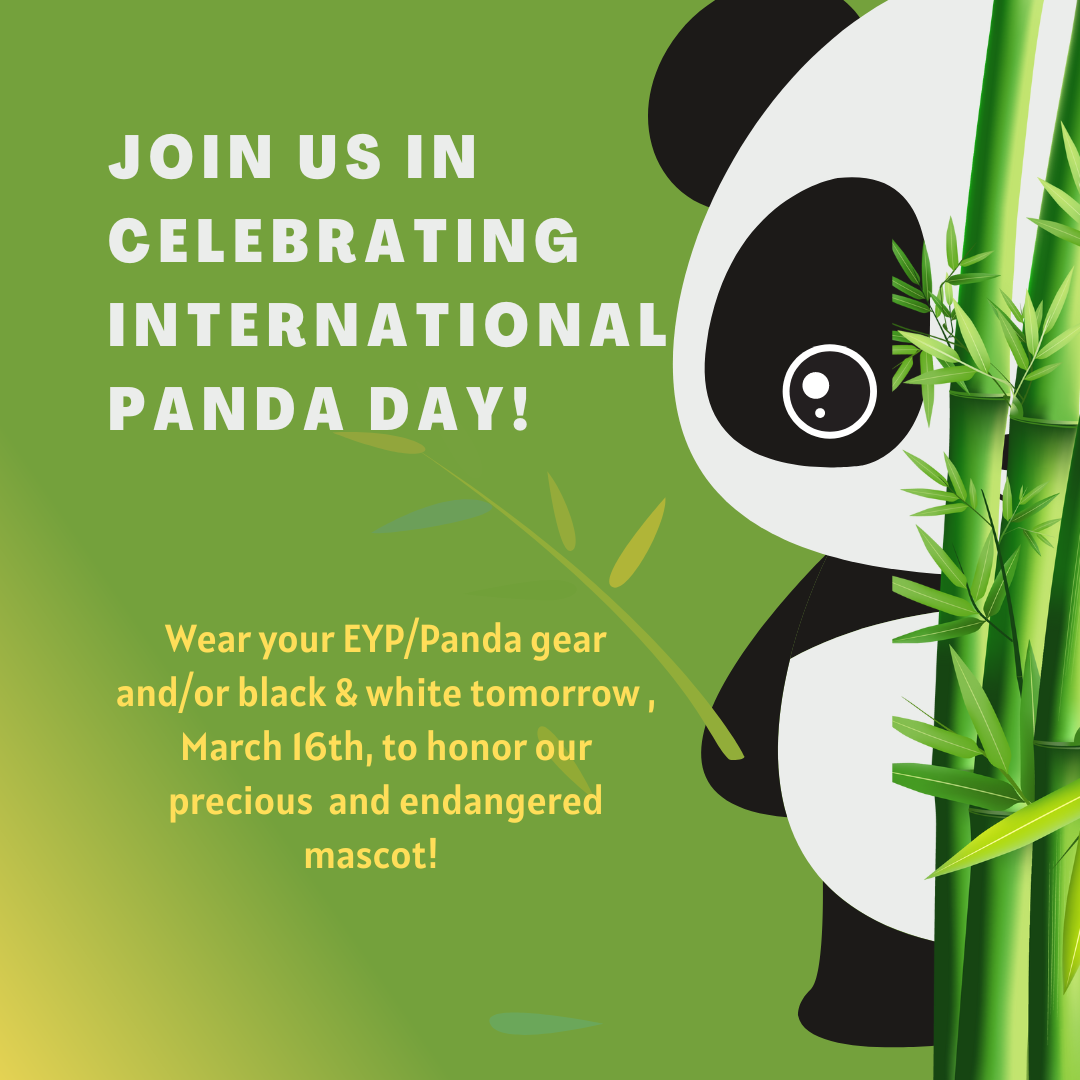  Panda