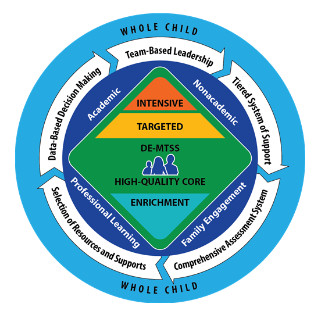 DE-MTSS Whole Child Graphic